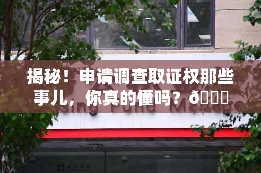 漳平揭秘！申请调查取证权那些事儿，你真的懂吗？😎