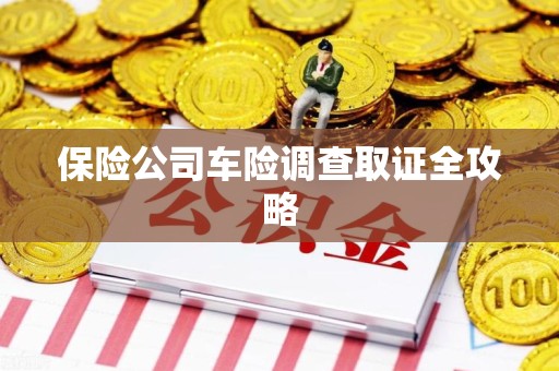 漳平保险公司车险调查取证全攻略